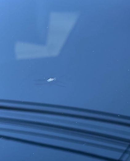 polarizados en casa polarizados en casa